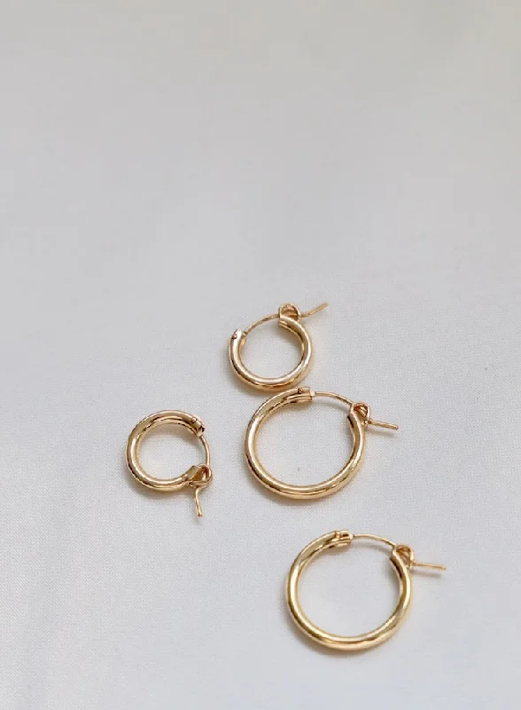 THE GOLD STANDARD HOOPS